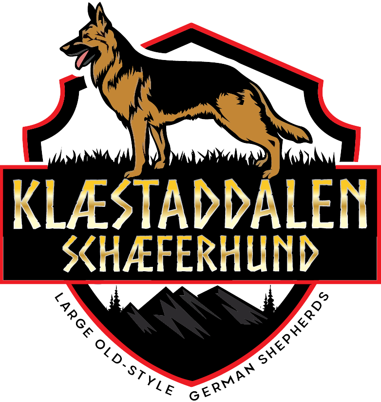 Klæstaddalen Schæferhund